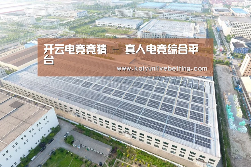 案例展示二