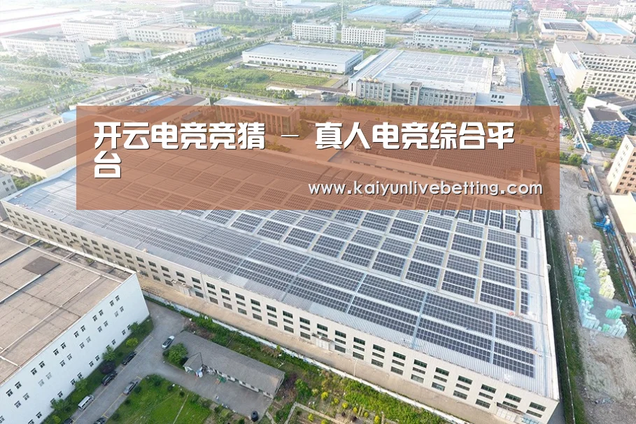 案例展示一