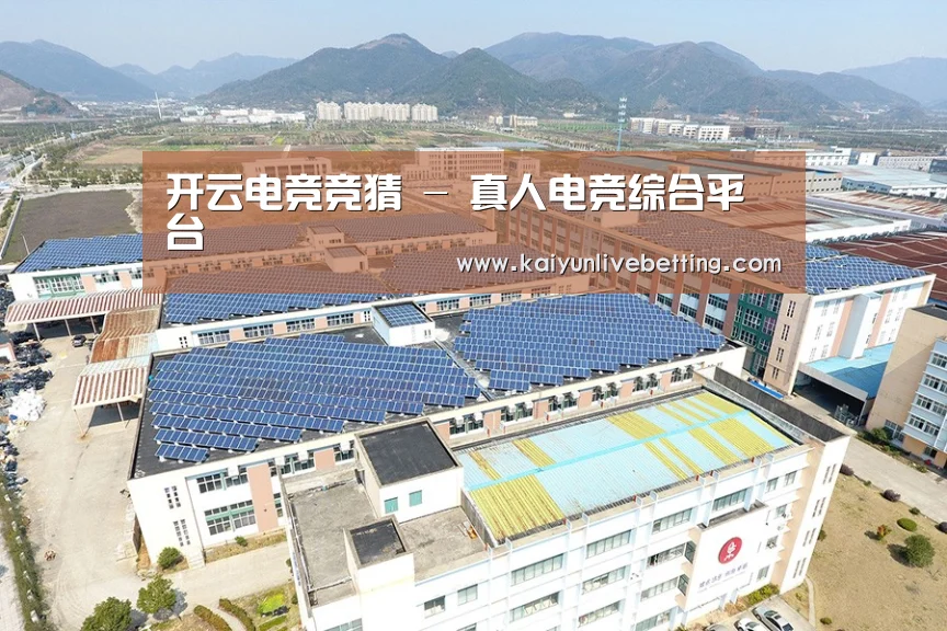 案例展示二