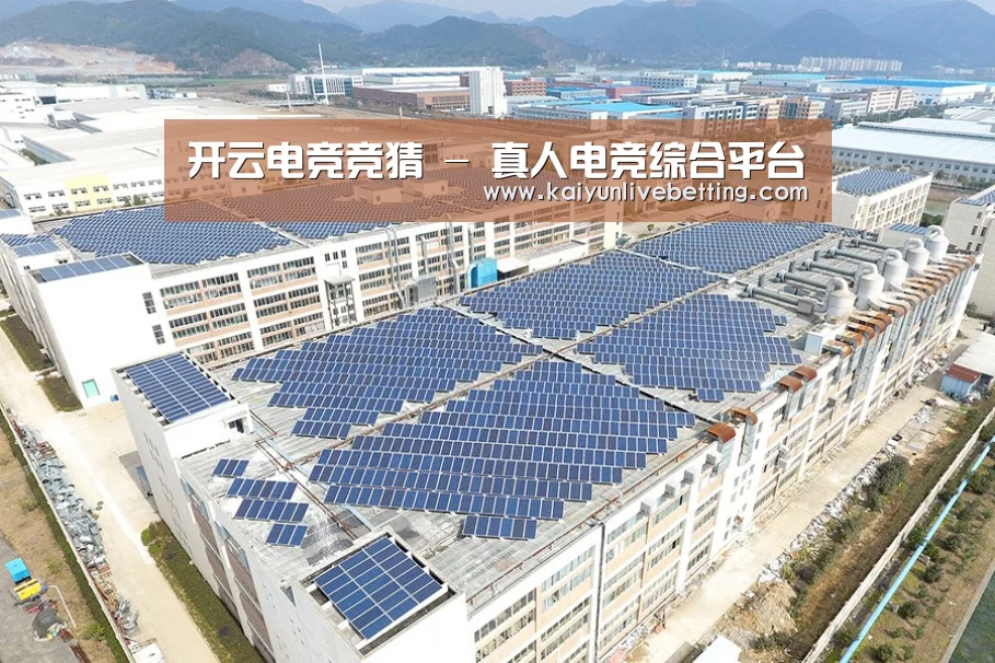 案例展示一