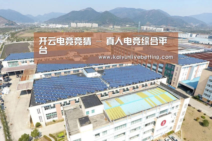 案例展示一