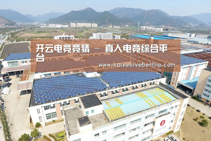 案例展示四