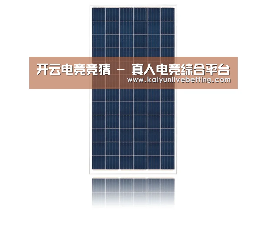 产品名称一