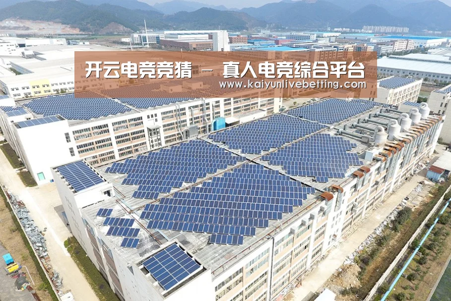 案例展示三