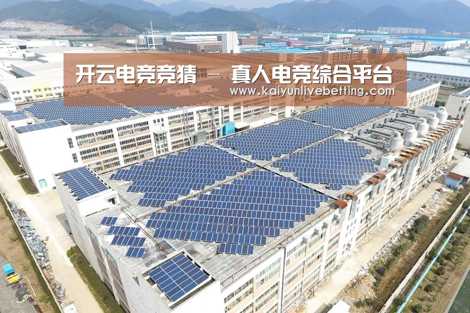 案例展示二