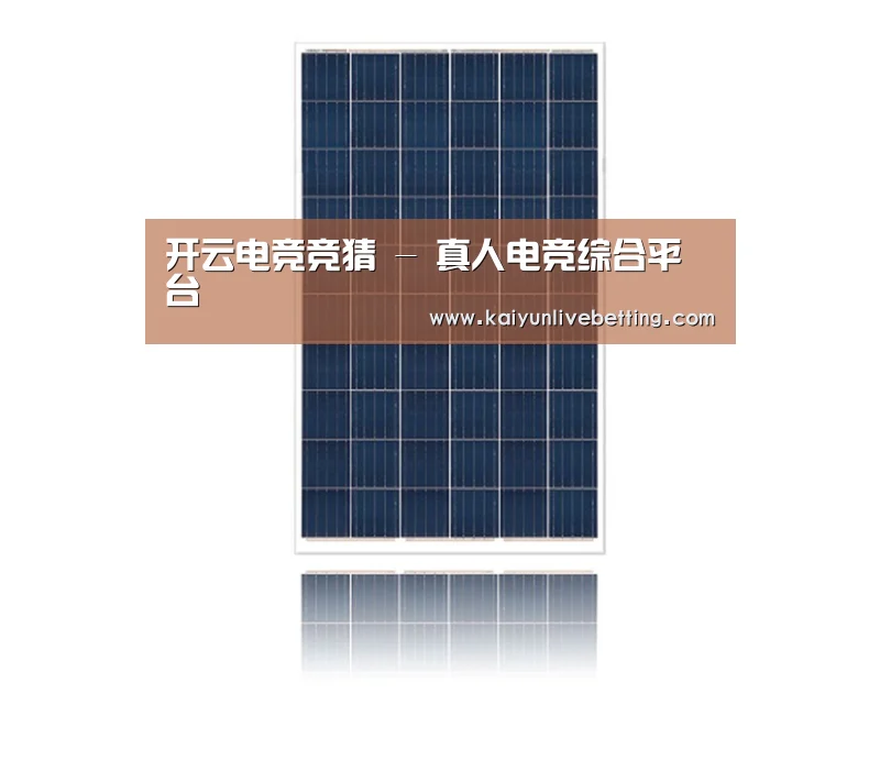 产品名称一