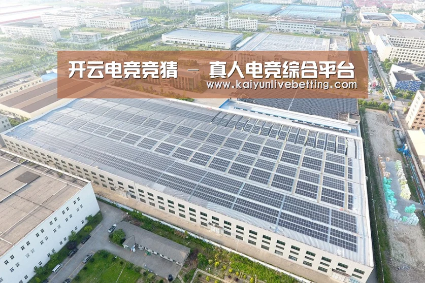 案例展示二