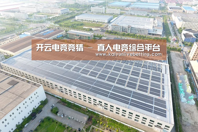 案例展示三