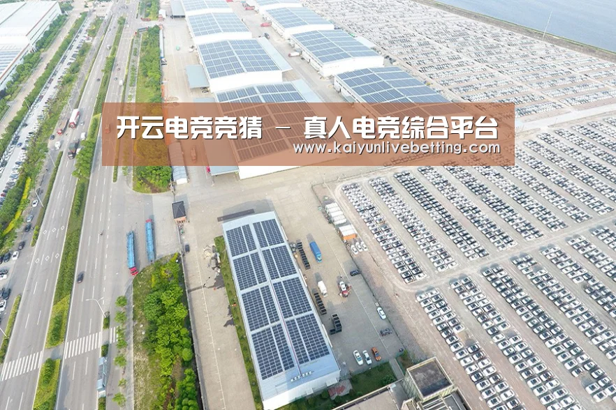 案例展示一