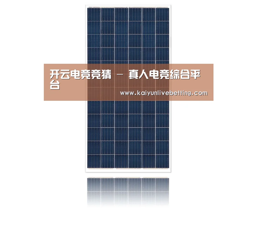 产品名称一