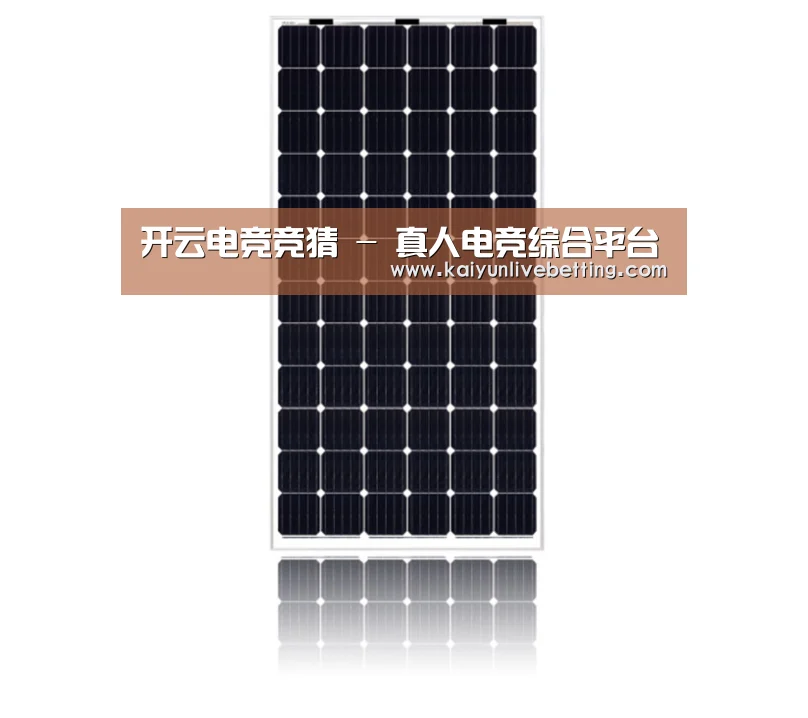 产品名称五
