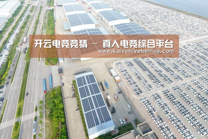 案例展示三