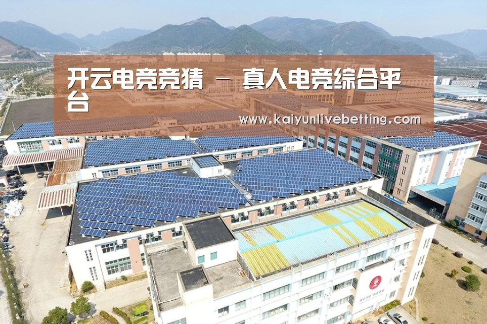 案例展示三