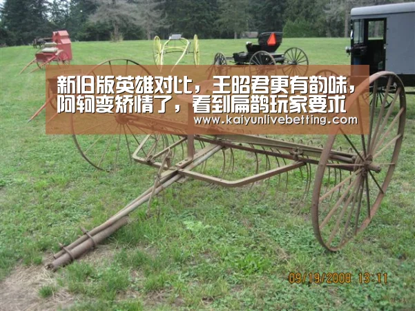新旧版英雄对比,王昭君更有韵味,阿轲变矫情了,看到扁鹊玩家要求退钱!‘开运平台’(图2) 开运竞猜