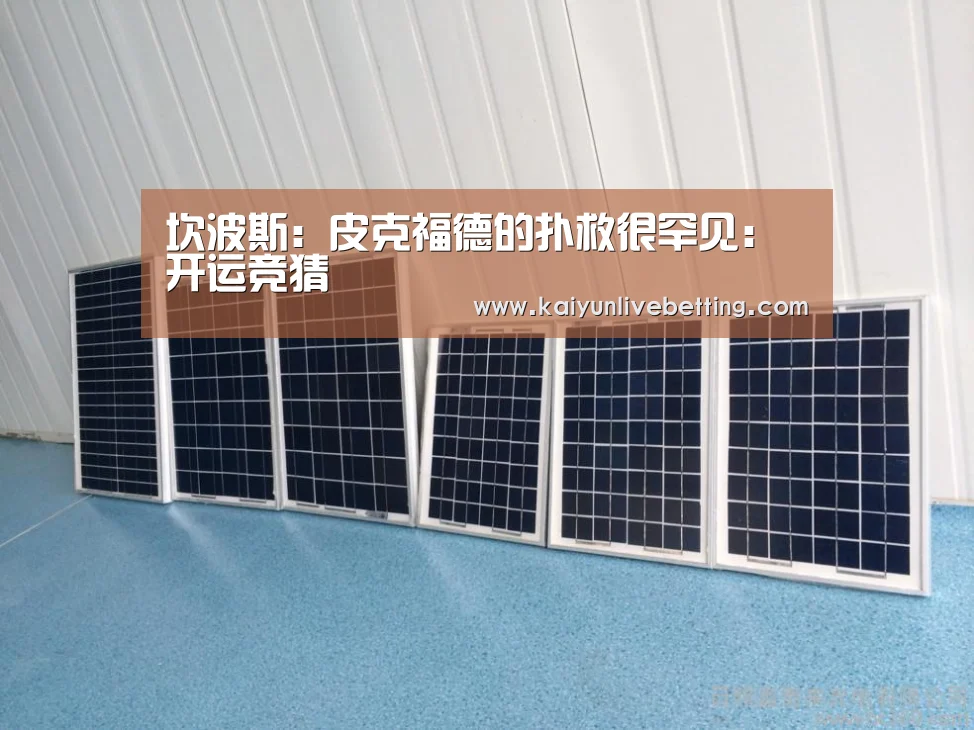 坎波斯:皮克福德的扑救很罕见:开运竞猜(图1) 开运下载