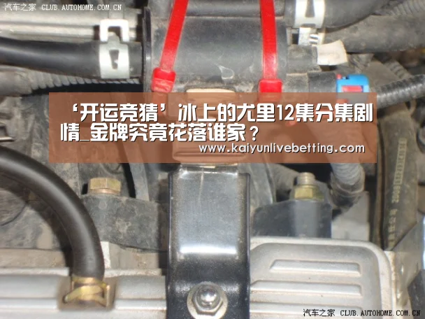 ‘开运竞猜’冰上的尤里12集分集剧情_金牌究竟花落谁家?(图1) 开运真人